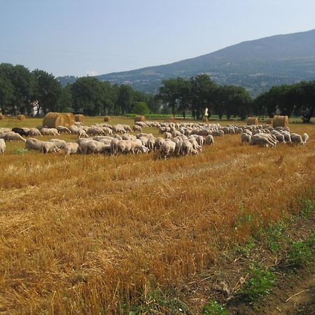 Il Tugurio Agriturismo B&B Rivotorto Exteriér fotografie